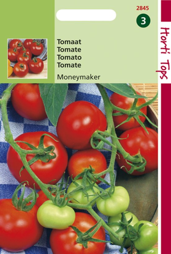 Tomaat Moneymaker (Solanum lycopersicum) 800 zaden BU